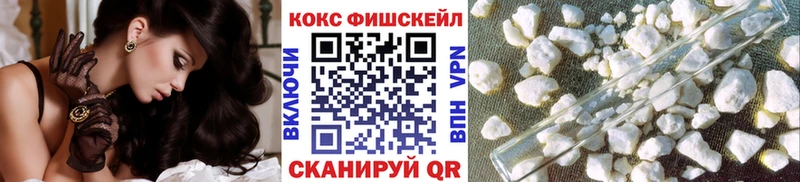 купить наркотики цена  Ялуторовск  ссылка на мегу ссылка  КОКАИН Fish Scale 
