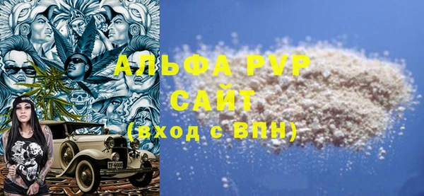 ECSTASY Белокуриха
