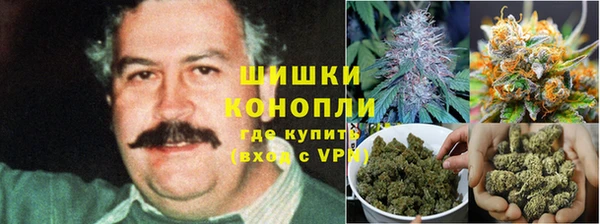 амф Белоозёрский